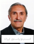 عزیز پورعبداله آقچه کندی 